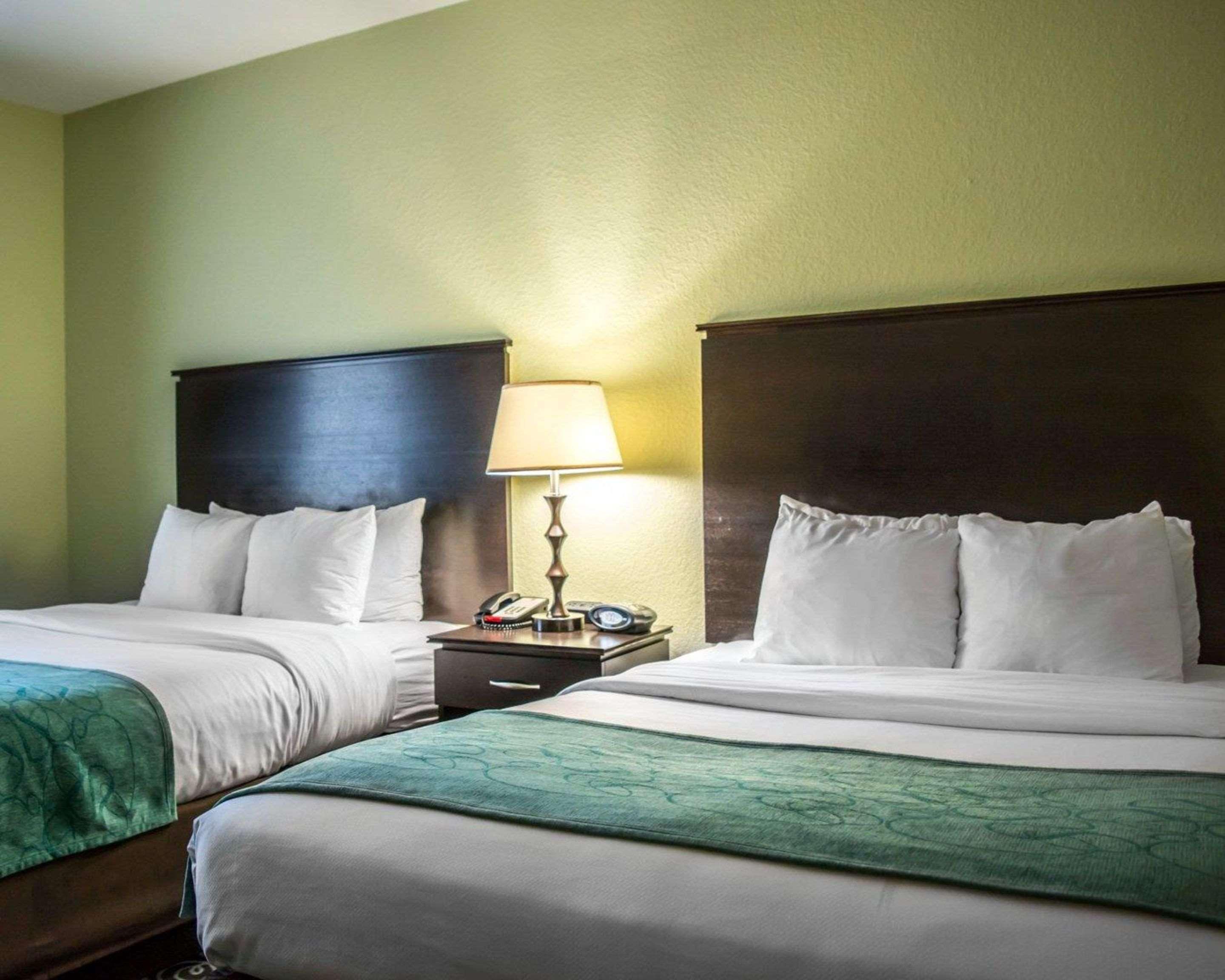 Hampton Inn By Hilton Tampa Fairgrounds Casino Екстериор снимка